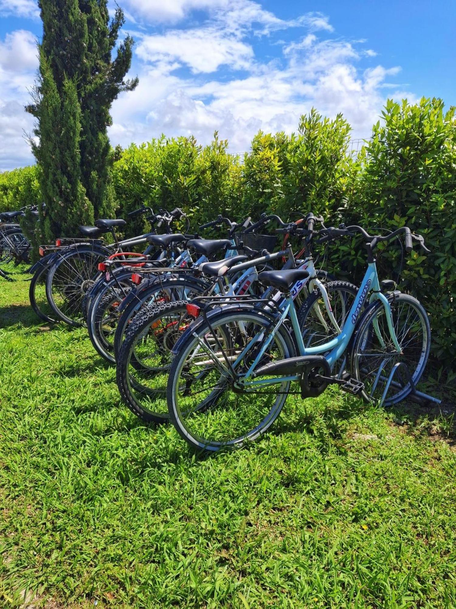 Delfino Tuscany Resort Marina di Cecina Exterior foto